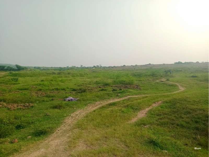 White sandalwood venture plot for sale - PS0039