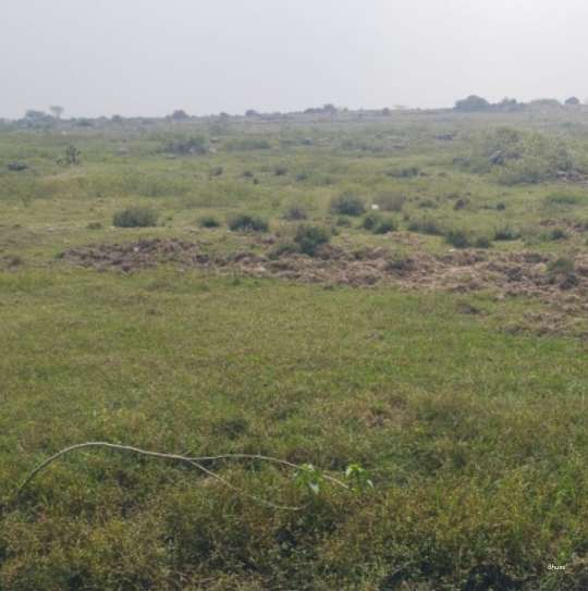 Agricultural land sale - PS0016