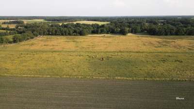 Massive East Facing Residential Plot for Sale  Prime Investment Opportunity - PS0035